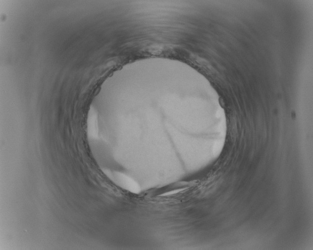 X0000068321105200605192026