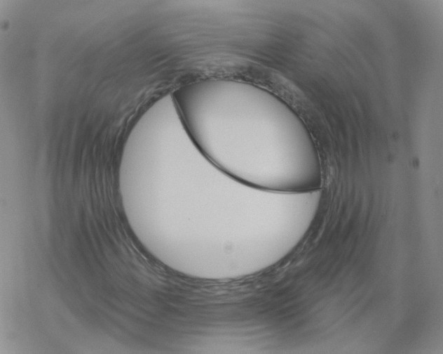 X0000068321108200605192026