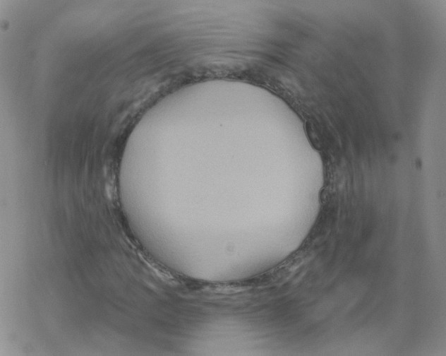 X0000068321109200605192026