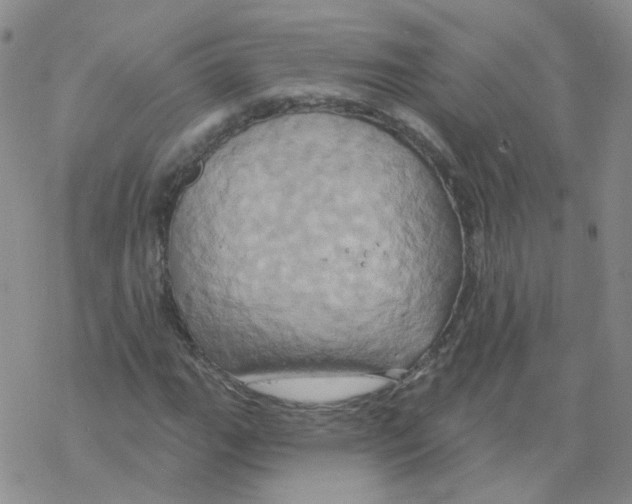 X0000068321111200605192026