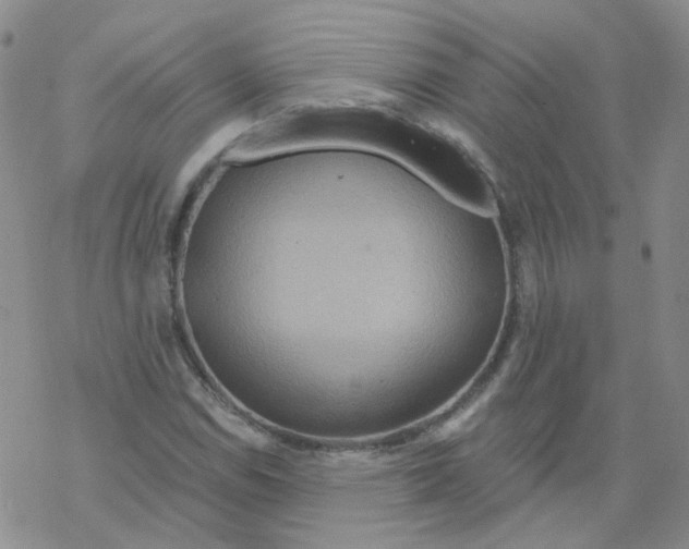 X0000068321114200605192026