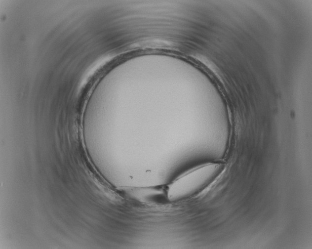 X0000068321115200605192026