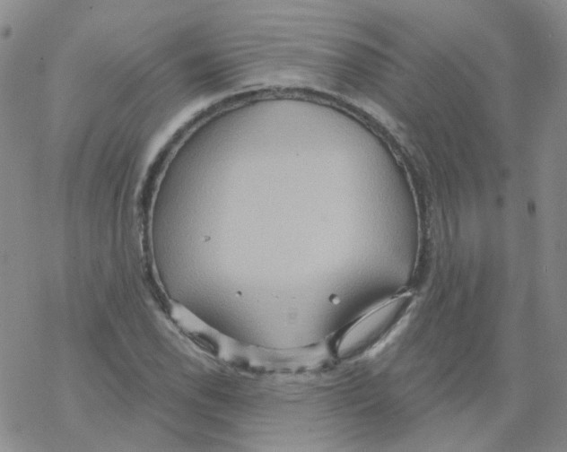 X0000068321118200605192026