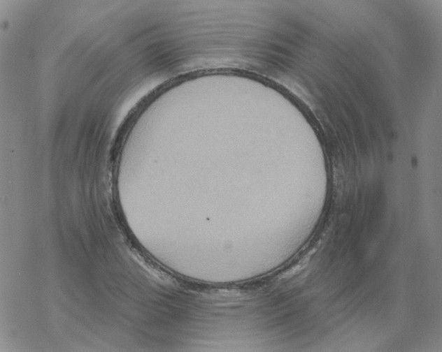 X0000068321119200605192026