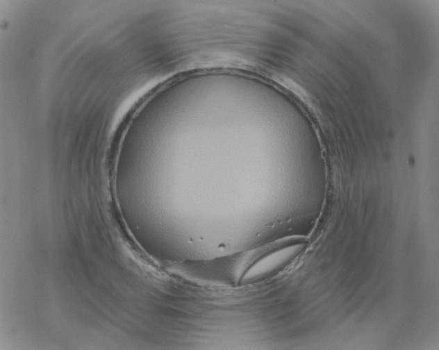 X0000068321120200605192026