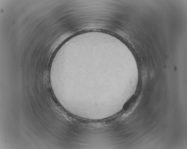 X0000068321121200605192026