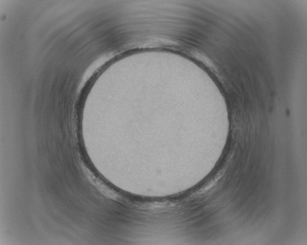X0000068321122200605192026