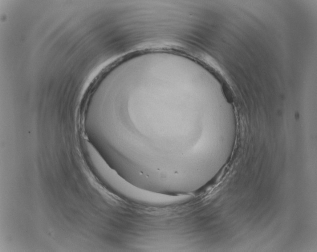 X0000068321124200605192026