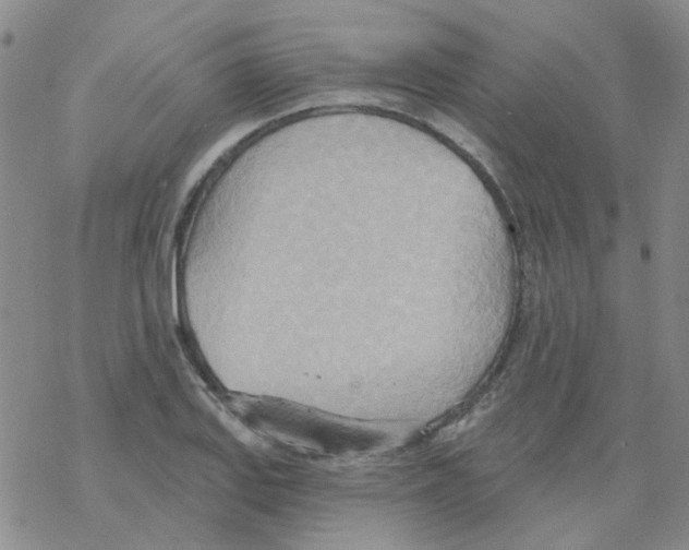 X0000068321127200605192026