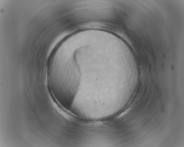 X0000068321131200605192026