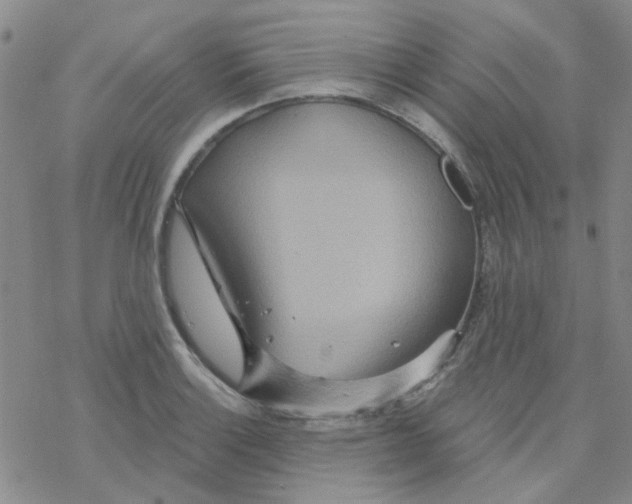 X0000068321132200605192026