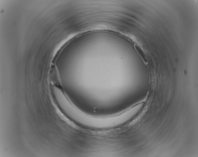 X0000068321134200605192026