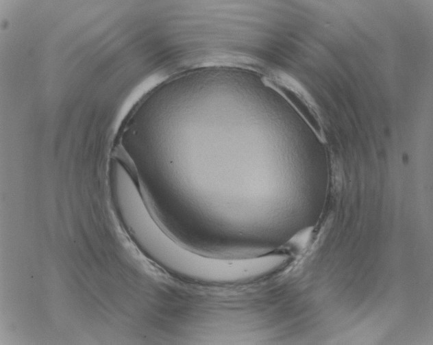 X0000068321138200605192026