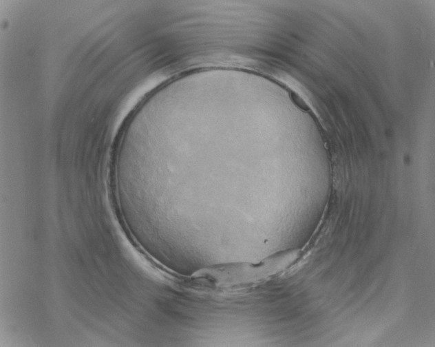 X0000068321139200605192026