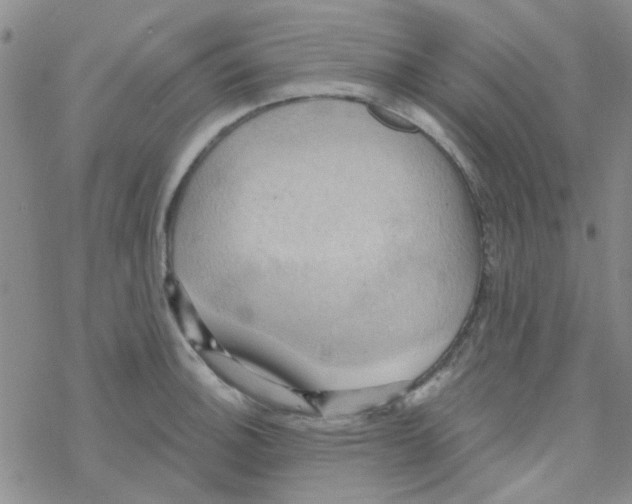 X0000068321140200605192026