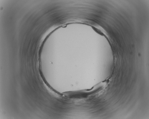 X0000068321143200605192027