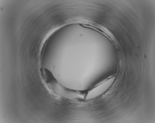 X0000068321144200605192027