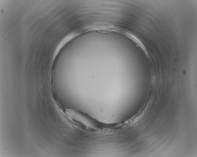 X0000068321146200605192027