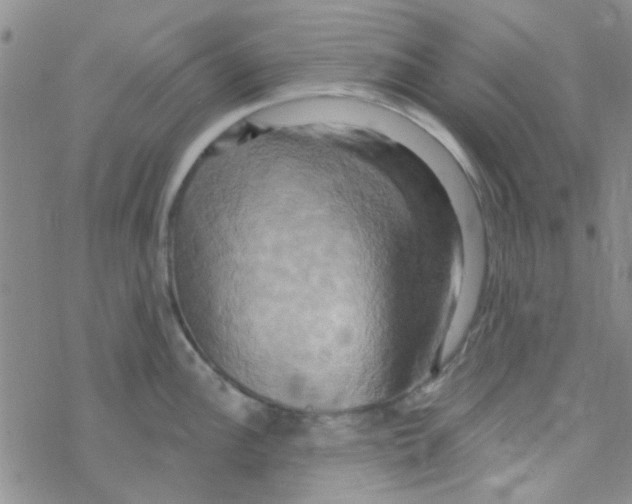 X0000068321148200605192027