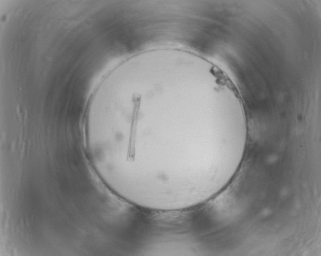 X0000068321150200605192027