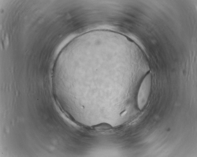 X0000068321151200605192027