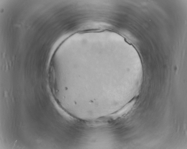 X0000068321152200605192027