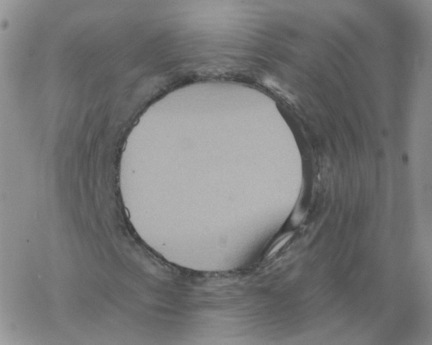 X0000068321153200605192026