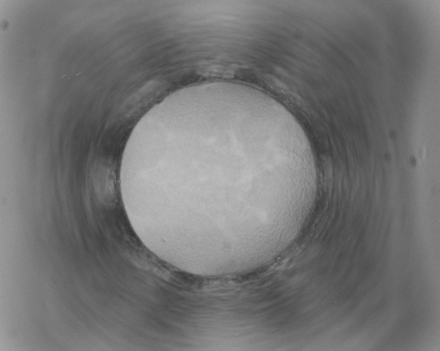 X0000068321154200605192026