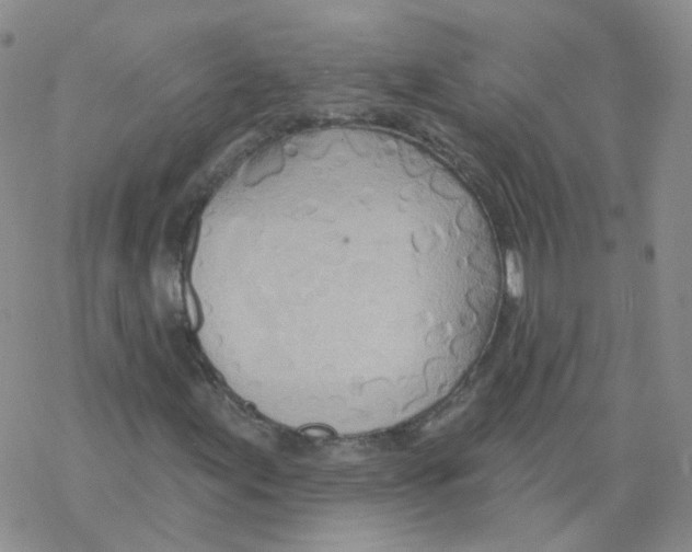 X0000068321155200605192026