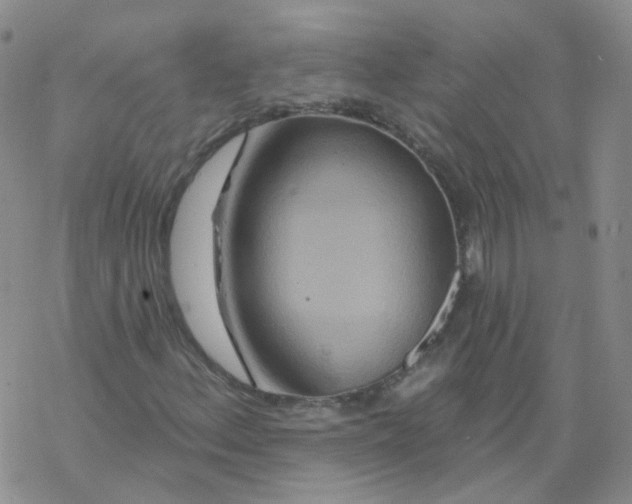 X0000068321156200605192026