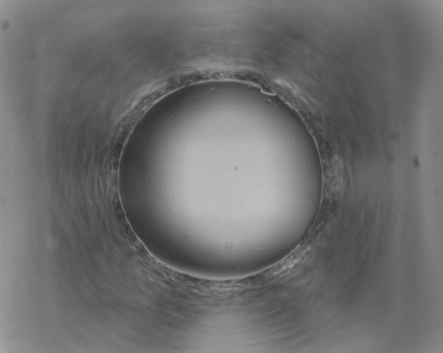 X0000068321157200605192026