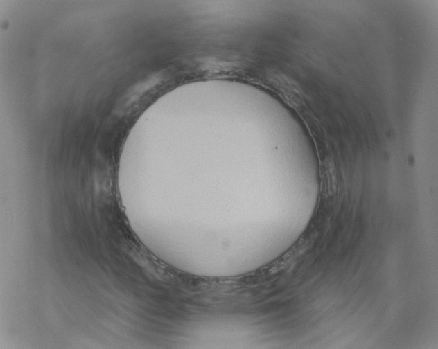 X0000068321158200605192026