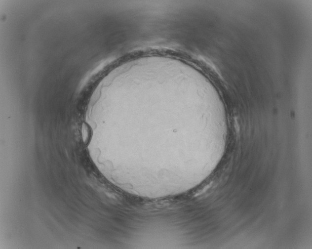 X0000068321159200605192026