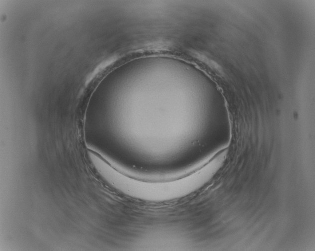 X0000068321160200605192026