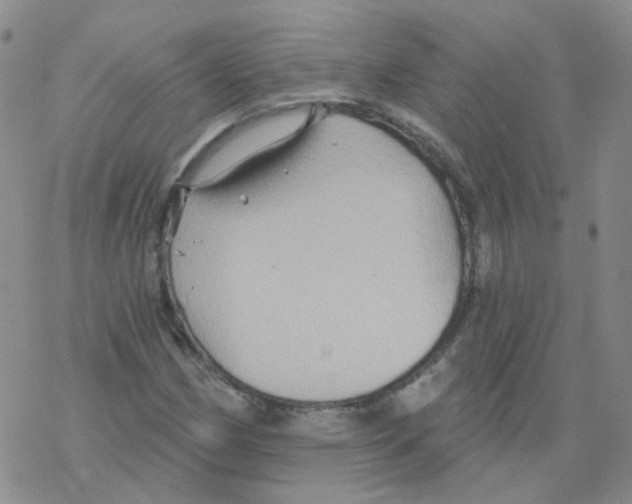 X0000068321162200605192026