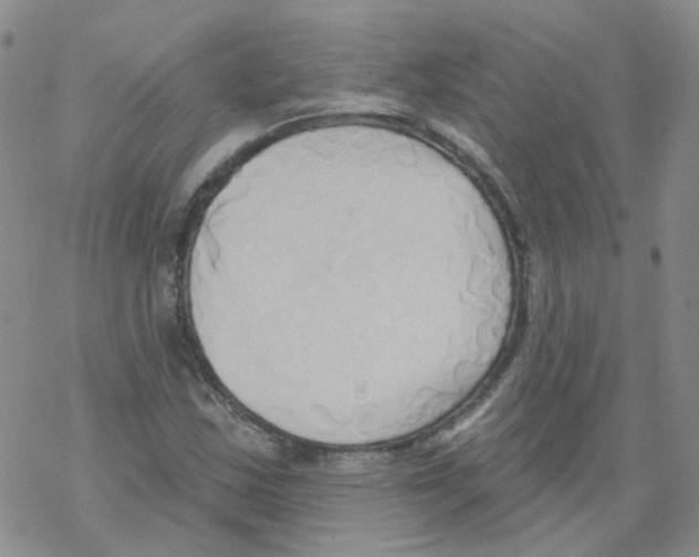 X0000068321163200605192026