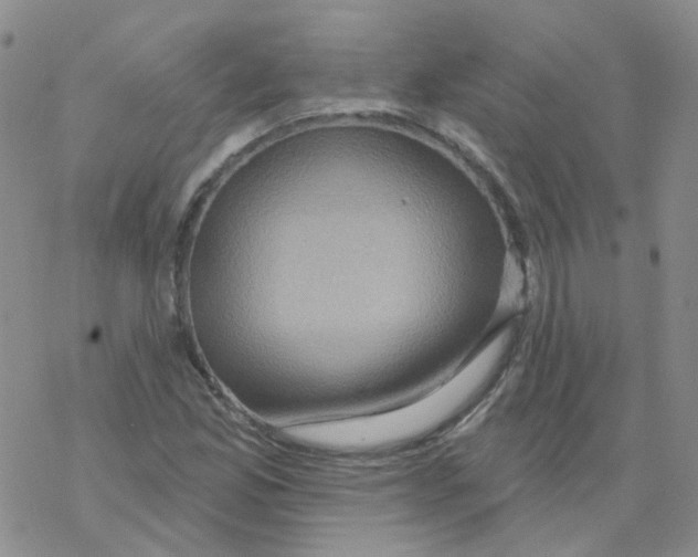 X0000068321165200605192026