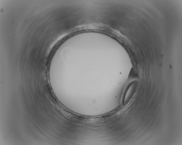 X0000068321166200605192026