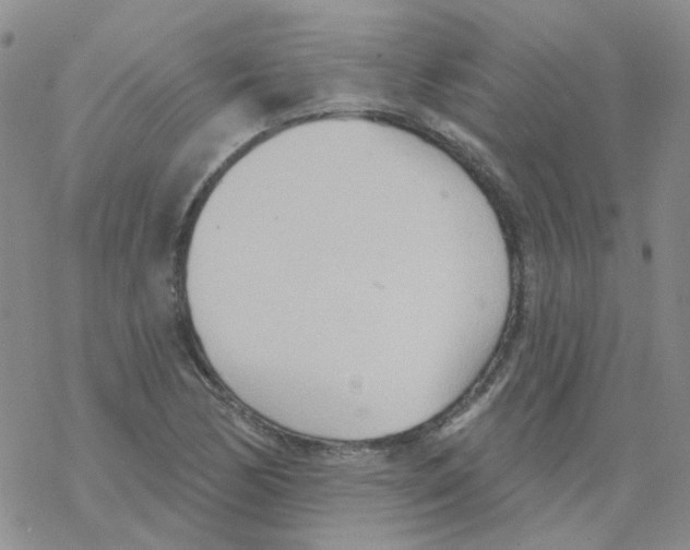 X0000068321170200605192026