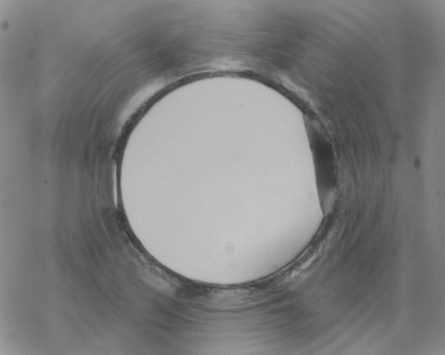 X0000068321171200605192026