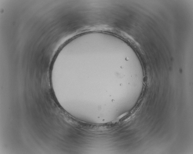 X0000068321174200605192026