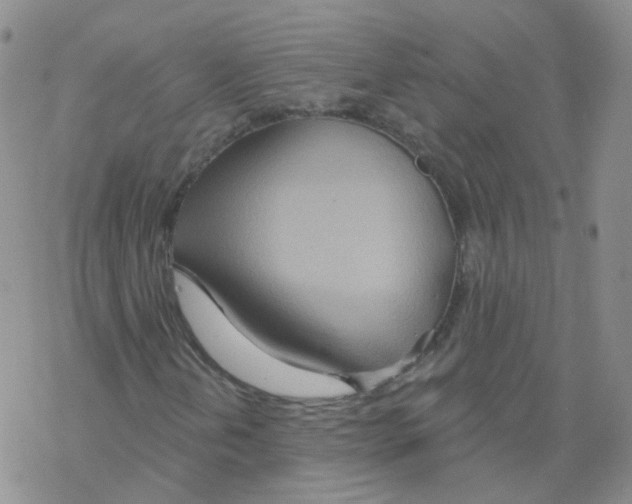 X0000068321202200605192024