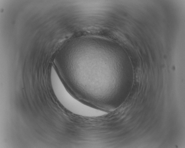X0000068321298200605192023