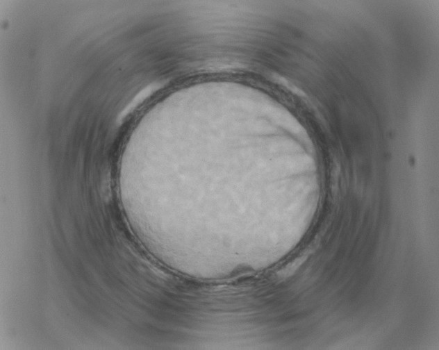 X0000068321306200605192023
