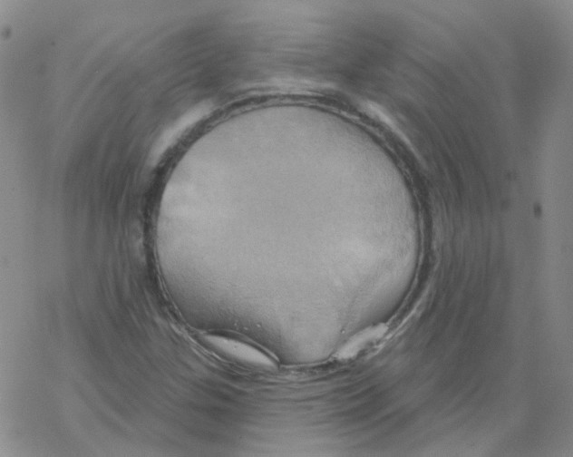 X0000068321307200605192023