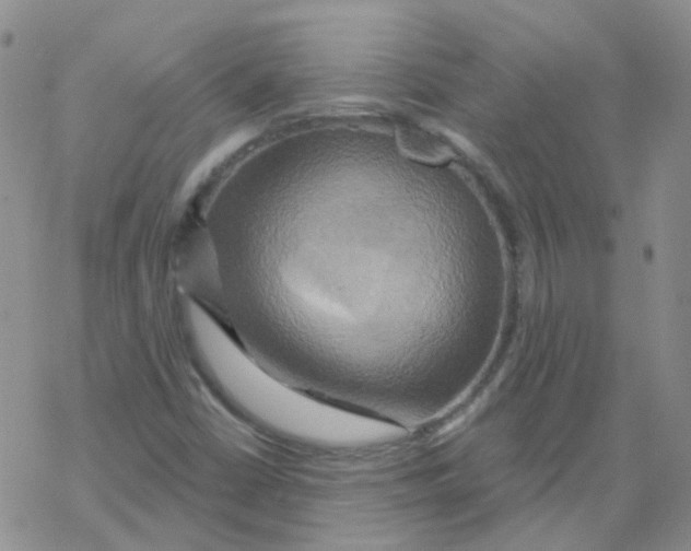 X0000068321402200605192021