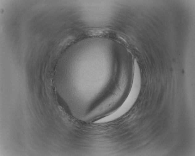 X0000068321441200605192021