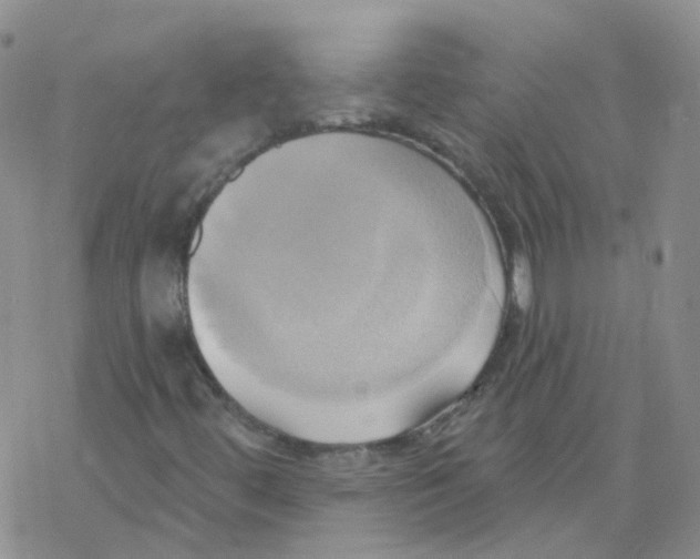 X0000068321444200605192021