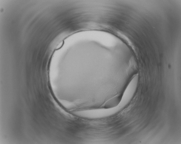 X0000068321479200605192021