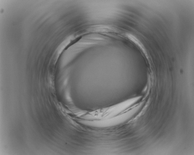 X0000068321481200605192021